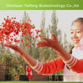 Yinchuan Taifeng Biotechnology Co., Ltd.